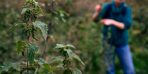 Atelier cuisine sauvage : les arbres et l'automne \/ Workshop \u2018Koken met ingredi\u00ebnten uit de natuur\u2019: bomen en de herfst