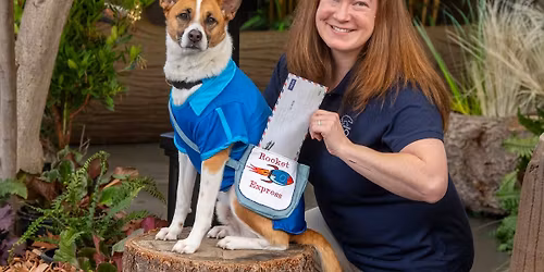 The Wild Wonders Outdoor Theater show is back!