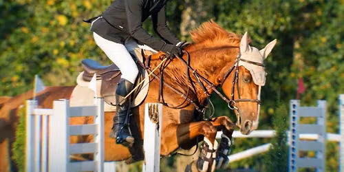 BALTIC CUP STAJNIA CAVALLO 