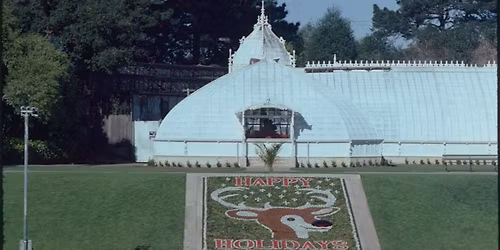 WNP Holiday Open House