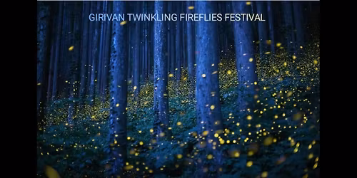 GIRIVAN TWINKLING FIREFLIES FESTIVAL