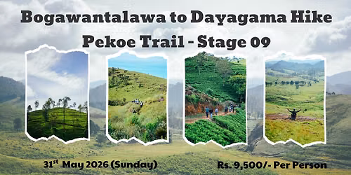 Bogawanthalawa To Dayagama Hike | Pekoe Trail - Stage 09