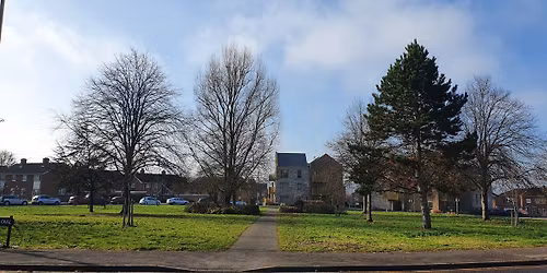 Christmas Lights Display