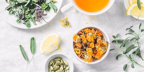 Herbal Workshop: Remedies to Support Your Immune Health