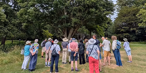Lewes Tree Festival 2026 - a guided walk around Southover Grange Gardens