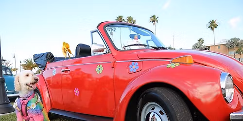 Vintage VW Fest @ Goodwill's Hippie Dash