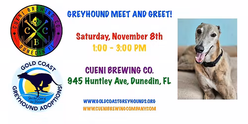 Greyhound Meet and Greet at Cueni Brewing Co.