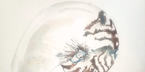 Nautilus Watercolor Workshop
