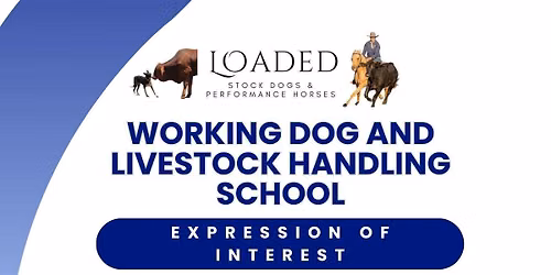 Working dog & livestock handling school