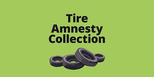 Tire Amnesty Collection