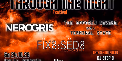 Through the Night - Das Oldschool Electro Festival in Kiel