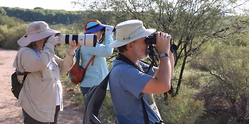 Hummingbird Hunt