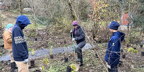 Streamside Restoration in Maple Valley - Tour