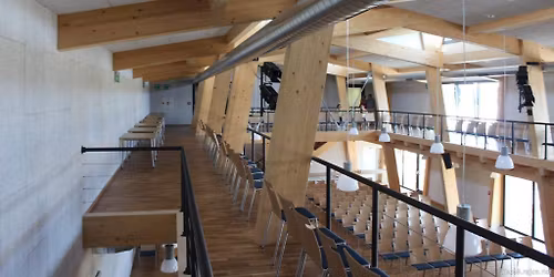 Jazz v Rat\u00ed\u0161kovic\u00edch