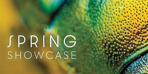 National Children's Chorus: DC Spring Showcase