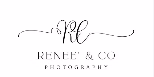 Christmas Tree Minis