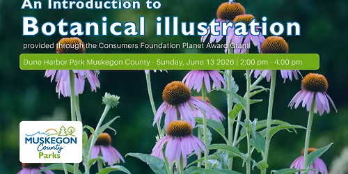 Botanical illustration at Dune Harbor Park!