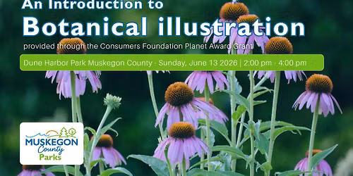 Botanical illustration at Dune Harbor Park!