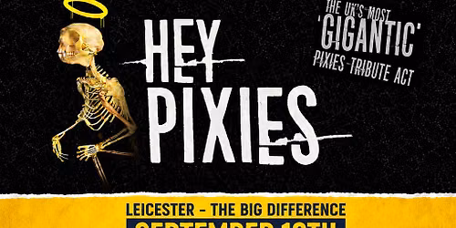 Hey Pixies x Weezerer - Tribute Show