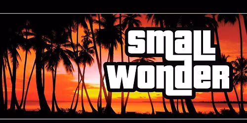 Small Wonder Live at The Old Ale House