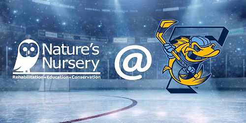 Nature's Nursery Night At The Walleye