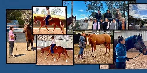 Dr Shelley Appleton "Transitioning Groundwork to Riding" Clinic (BIRDWOOD, SOUTH AUSTRALIA) 