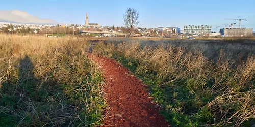 Lokadagur s\u00fdningar: R\u00f3leg stund og spjall me\u00f0 s\u00fdningarstj\u00f3ra