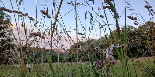 But\u00f3 na louce