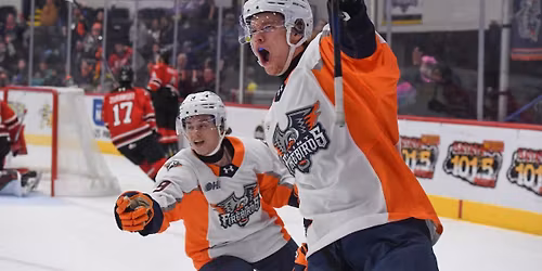 Flint Firebirds at Owen Sound Attack at Harry Lumley Bayshore Community Centre