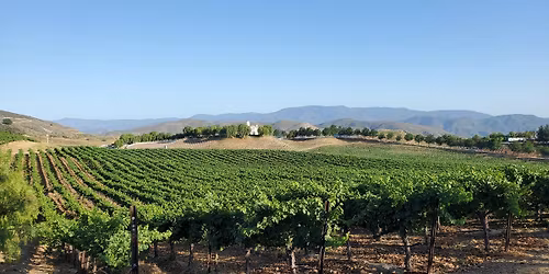 Cycling and Wine Tasting Tour of Solvang CA