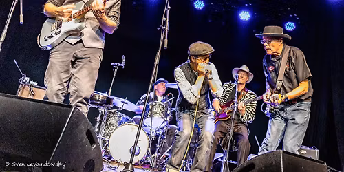 Koncert med Blueshustlers