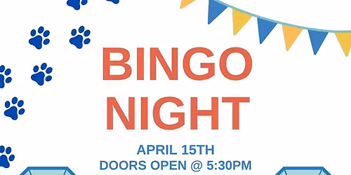 BINGO Night