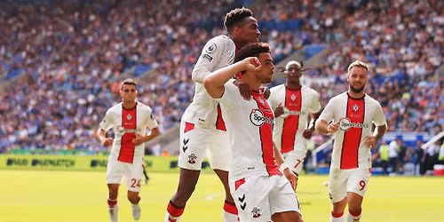 Southampton FC vs Hull City A.F.C at St Marys Stadium