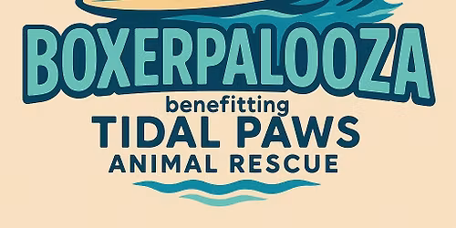Boxerpalooza IV
