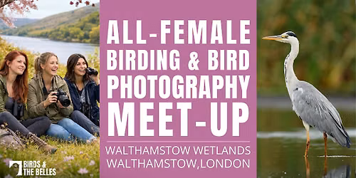 All-Female Birding & Bird Photography Morning