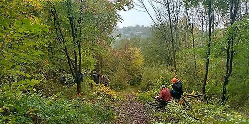 Castlefield & Rowliff Woodland Working Party Pt II