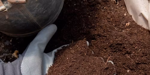 Composting Workshop: Turning Scraps into Soil