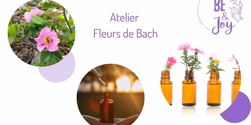 Atelier - Fleurs de Bach