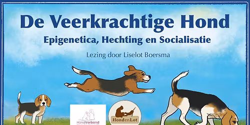 De Veerkrachtige Hond - nieuwe lezing van Liselot Boersma!