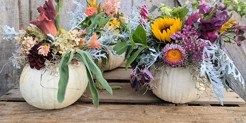 Fall In Bloom