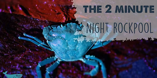 Night Rockpool