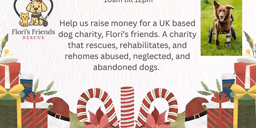 Dog Christmas jumper meet 