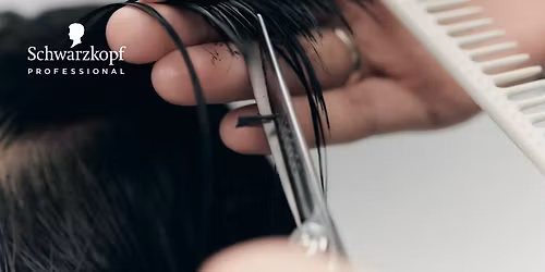 Schwarzkopf Professional Modern Shags & Bixies