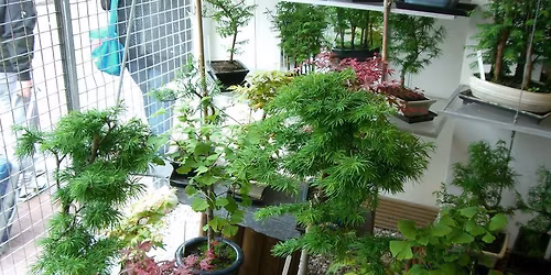 late night xmas shop