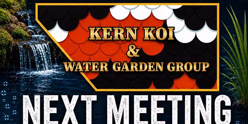 2nd Koi Group Meeting