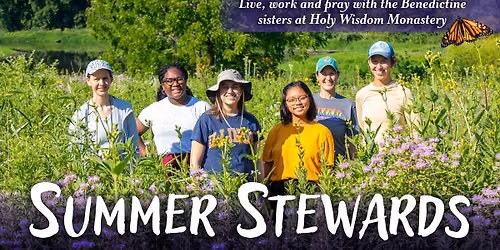 Summer Stewards