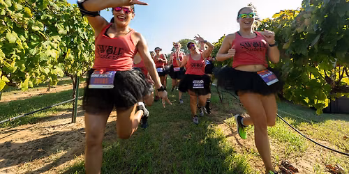Parking St. Thomas Tommies at UNC Asheville Bulldogs Mens Basketball