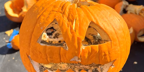 Pumpkin Smash 2026 in partnership with GroundsPRO