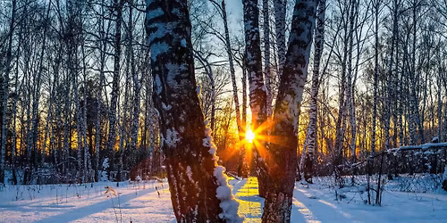 Winter Solstice Celebration