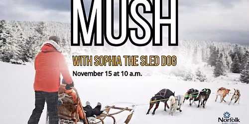 MUSH with Sophia, the Sled Dog!